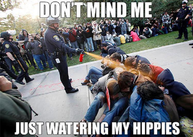 watering-the-hippies.jpg